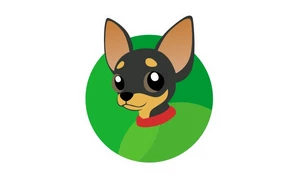 Doguinho do Lidia